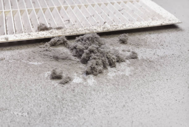 Best HVAC Maintenance and Cleaning  in Chalmette, LA