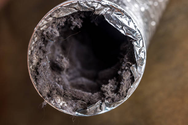 Best HVAC System Cleaning  in Chalmette, LA